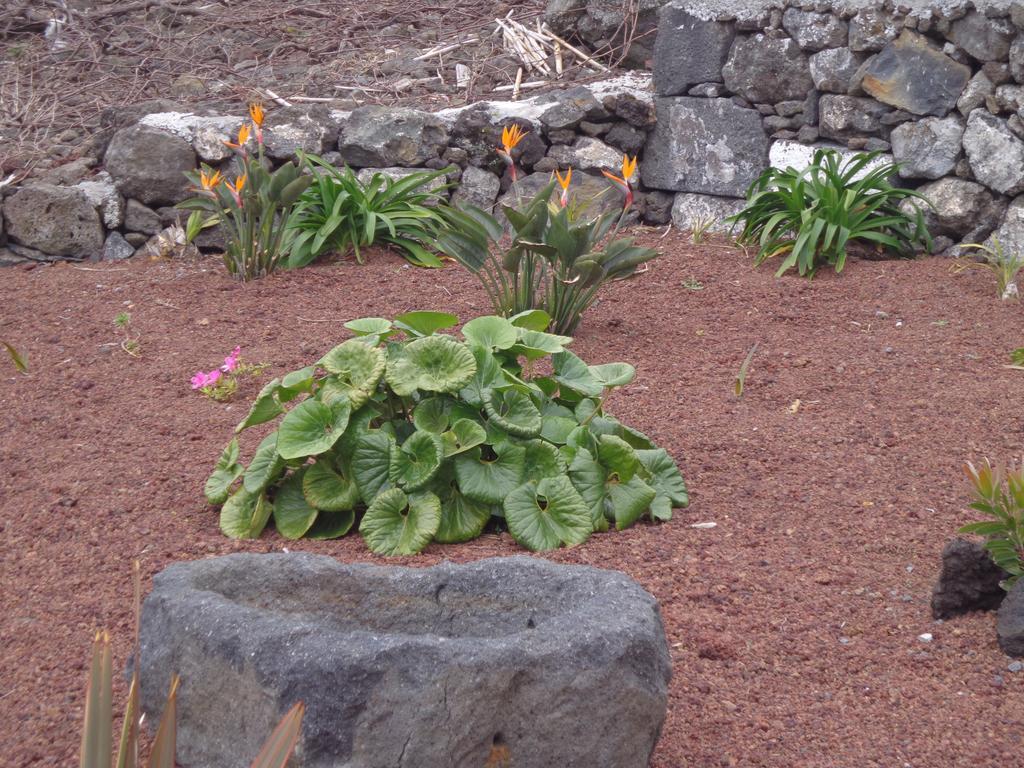Casa Da Vigia Διαμέρισμα Calheta de Nesquim Εξωτερικό φωτογραφία